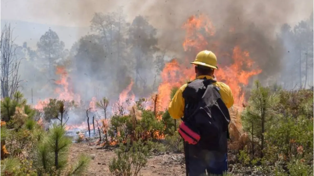 incendios forestales